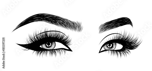 Slika na platnu Hand-drawn woman's sexy luxurious eye with perfectly shaped eyebrows and full lashes