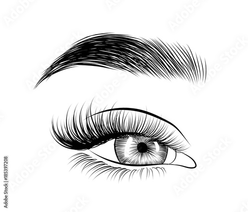 Hand-drawn woman's sexy luxurious eye with perfectly shaped eyebrows and full lashes. Idea for business visit card, typography vector.Perfect salon look.