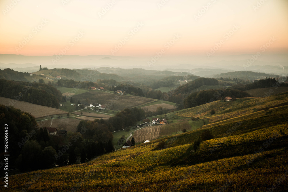 Obraz premium Sonnenuntergang in den Weinbergen