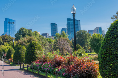 Boston USA Public Garden, Common Frog Pond and city skyline.