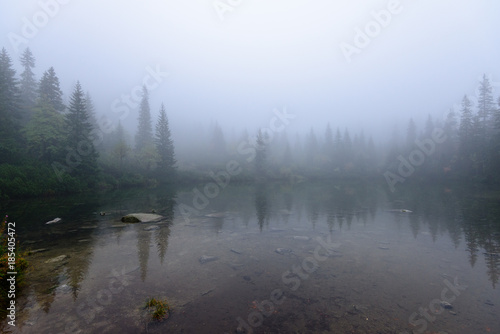 misty morning view in wet mountain area in slovakian tatra. mountain lake panorama