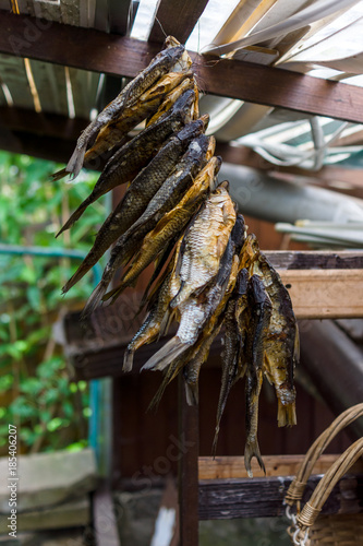 A bunch of dried fish hangs in the attic in the shade. Traditional Russian snack for beer.