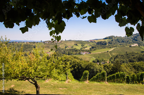 Buschenschank mit Aussicht in der Südsteiermark photo