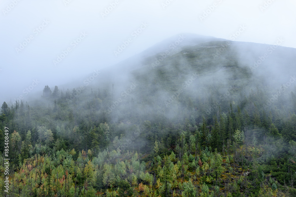 misty morning view in wet mountain area in slovakian tatra. autumn colored forests