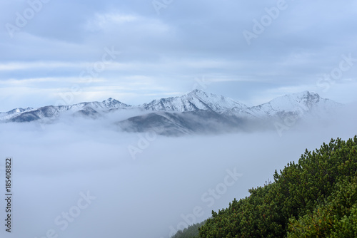misty morning view in wet mountain area in slovakian tatra © Martins Vanags