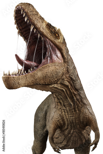 t rex stand up © DM7
