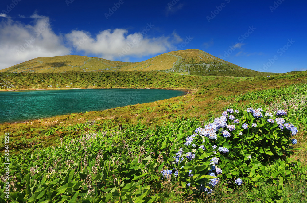 Lake Rasa, Flores Island, Azores, Portugal, Europe