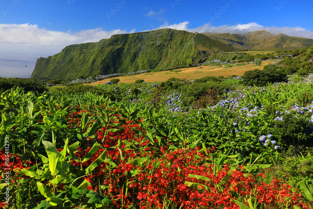 Beautiful alpine landscape on Flores Island, Azores, Portugla, Europe Beautiful alpine landscape on Flores Island, Azores, Portugla, Europe