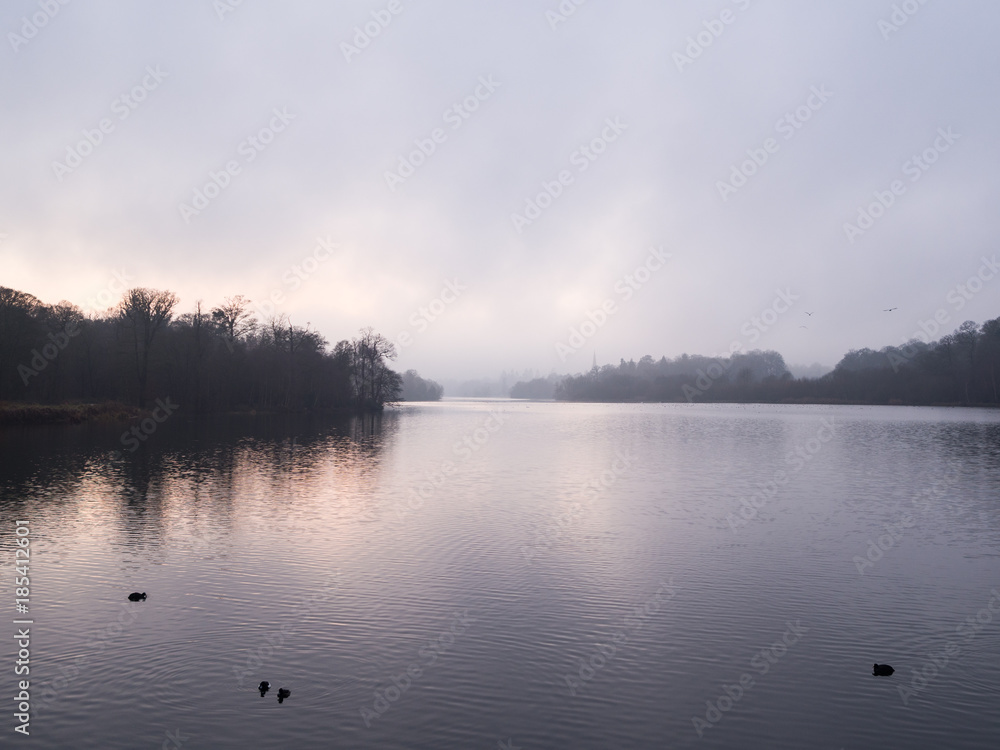 Monochromatic Lake on Misty Morning with Distant Swans in Flight Monochromatic Lake on Misty Morning with Distant Swans in Flight