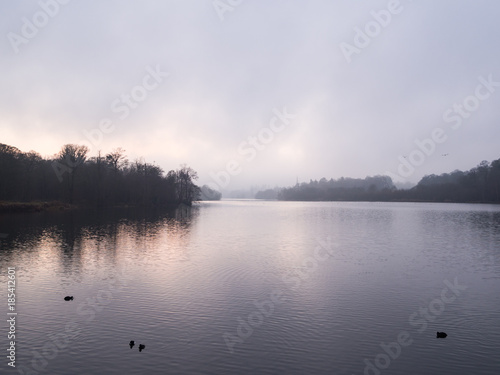 Monochromatic Lake on Misty Morning with Distant Swans in Flight
