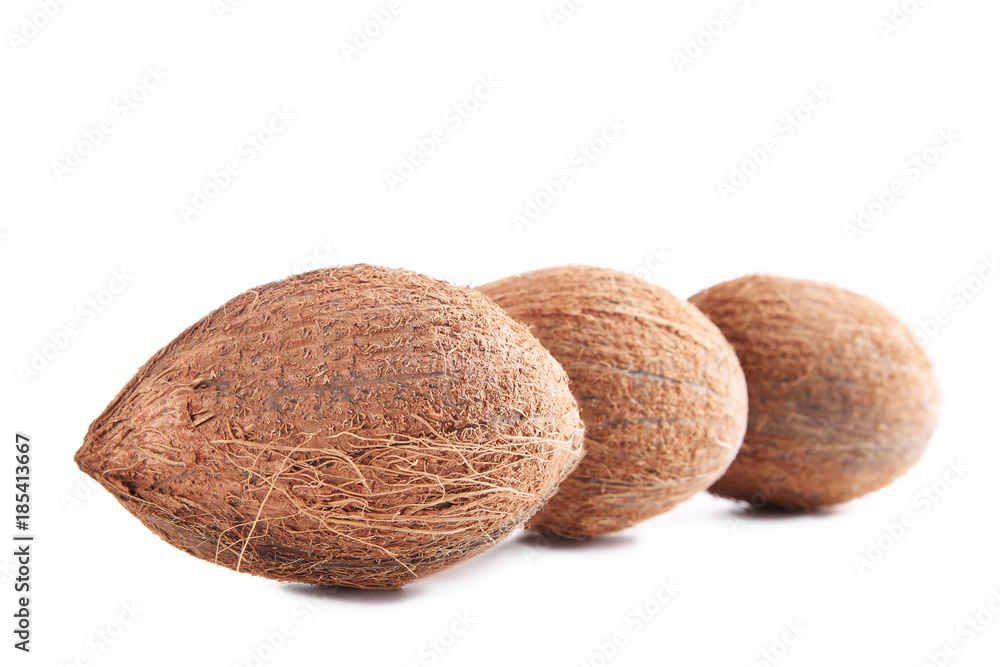 Coconuts isolated on a white background Coconuts isolated on a white background