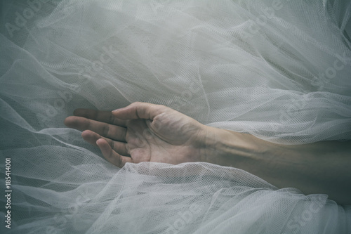 Obraz na płótnie Female hand and arm over tulle background - Woman hand - Serenity, simplicity, g