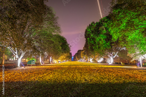 Kew Gardens in Christmas time, London photo