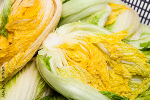 Salt cabbage background of making kimchi south korea 