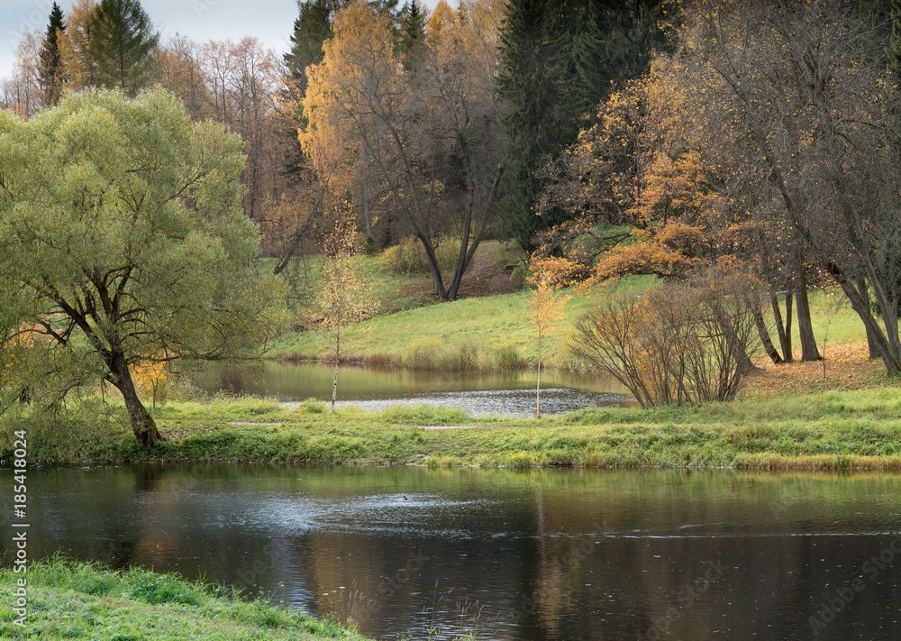 Calm river and autumn trees against the background