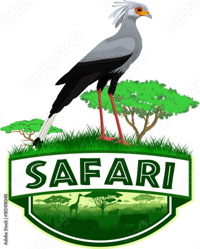 vector african savannah safari emblem with secretary bird (Sagittarius serpentarius) 