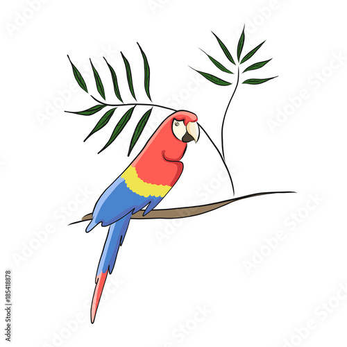 Clip art tropical parrot, vector