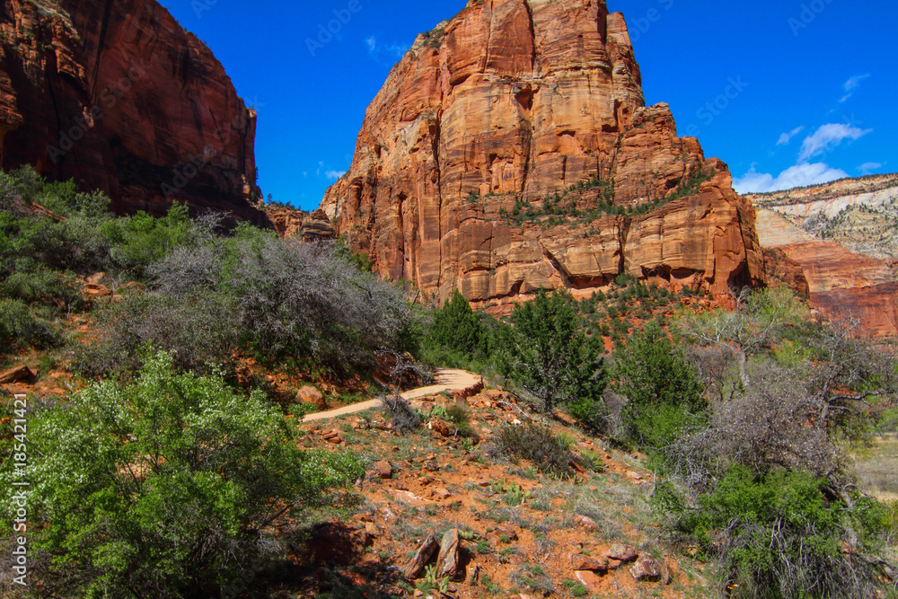 Zion National Park