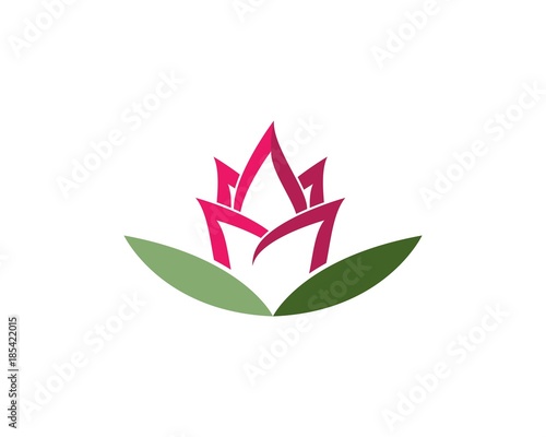 Beauty Lotus flowers Vector  design