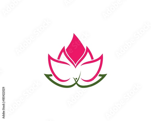 Beauty Lotus flowers Vector  design