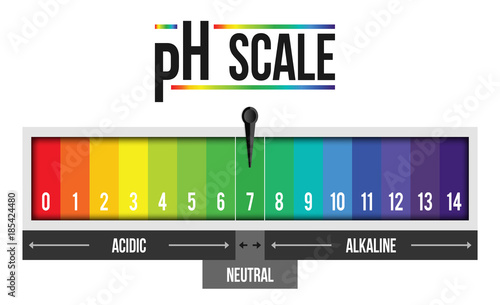 Creative vector illustration of pH scale value isolated on background. Chemical art design infographic. Abstract concept graphic litmus paper element