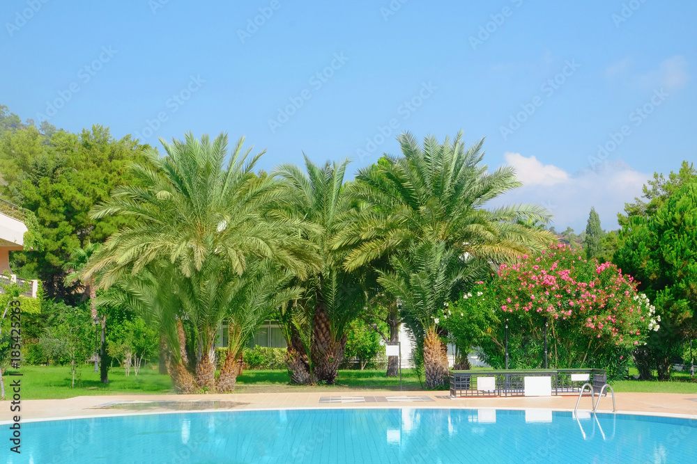 View of swimming pool at modern resort, outdoors View of swimming pool at modern resort, outdoors