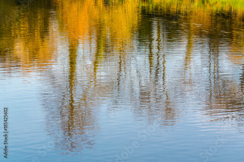 Beautifully Reflected Trees and Leaves in the Water Surface for 3D Texture