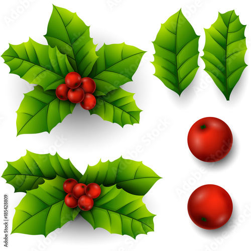 Christmas Holly Berry