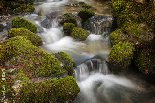 Smooth Water Flowing Through a Rainforest Environment. Wells Creek, in the Mt. Baker National Forest, flows down to meet the Nooksack River through a mossy green forest in Washington state.