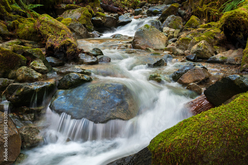 Smooth Water Flowing Through a Rainforest Environment. Wells Creek, in the Mt. Baker National Forest, flows down to meet the Nooksack River through a mossy green forest in Washington state.