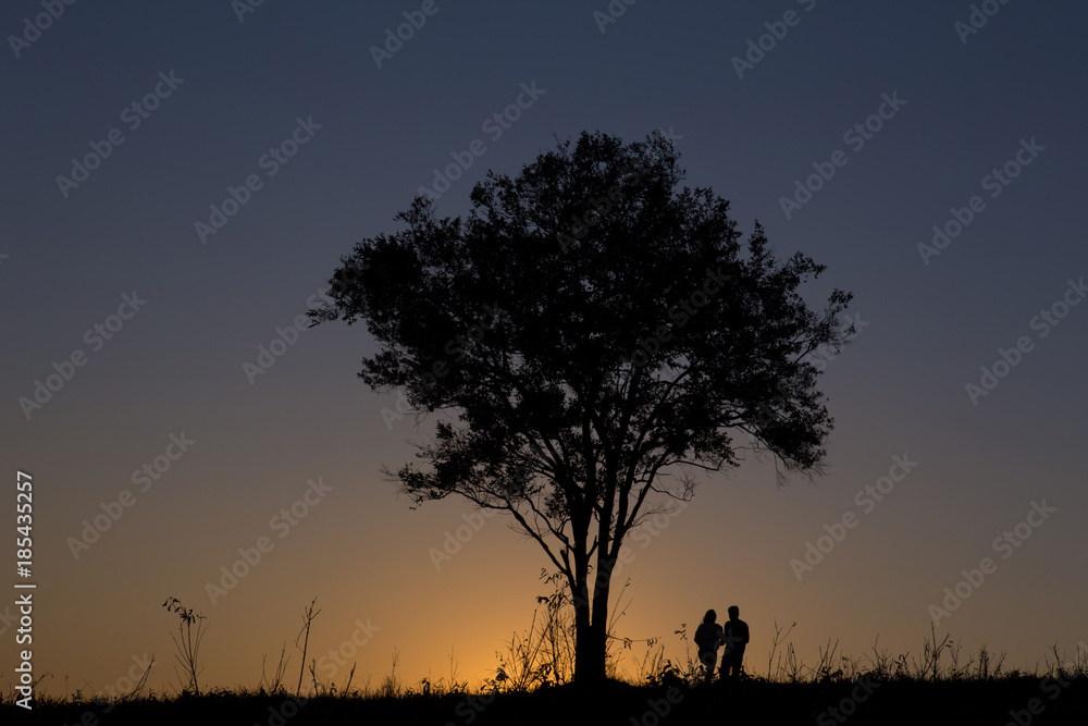 silhouette man and women standing under the tree in sunset time
