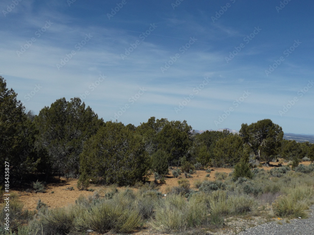 Small Prarie Town and Outskirts Small Prarie Town and Outskirts