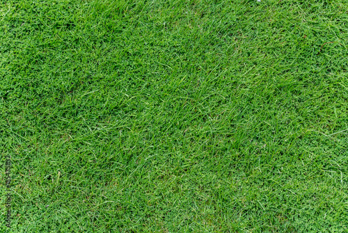 England Grass for 3D texture
