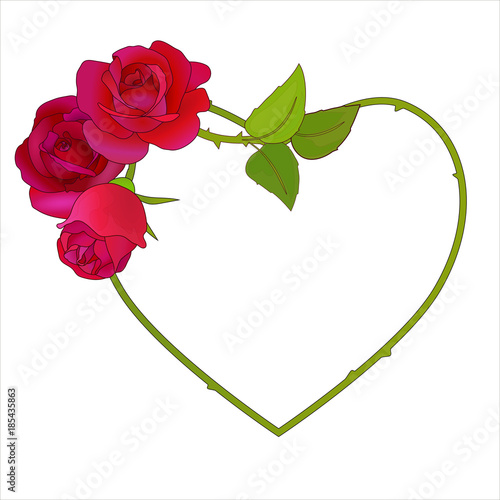 Roses frame