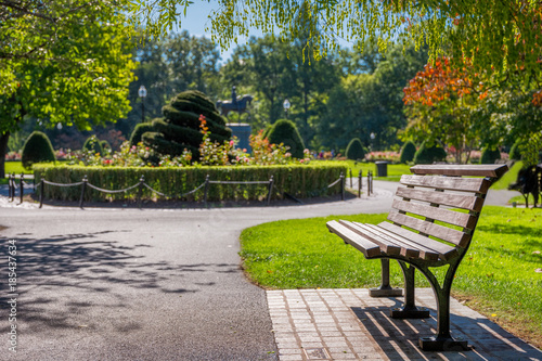 Boston USA Public Garden, Common Frog Pond and city skyline.