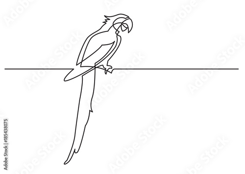 continuous line drawing of isolated vector object - parrot