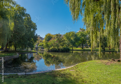 Boston USA Public Garden, Common Frog Pond and city skyline.