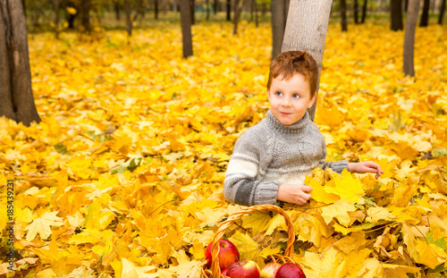 Autumn portrait of beautiful child. Happy little boy with leaves in the park in fall.