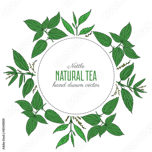 Round floral frame, Nettle wild field flower isolated on white background, hand drawn sketch vector doodle, colorful illustration Urtica dioica for design package tea, cosmetics, natural medicine
