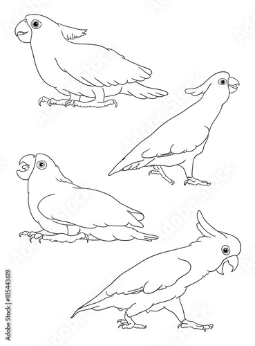 Parrot, cockatoo line 07. Good use for symbol, logo, web icon, mascot, sign, or any design you want.