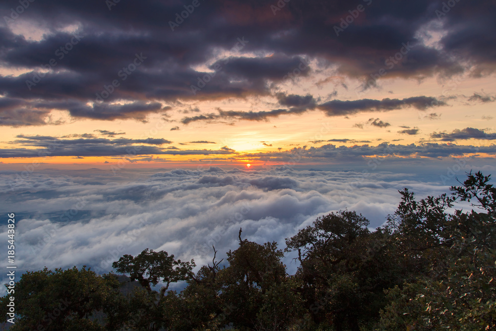 Great view of the foggy at Doi Luang Chiang Dao, High mountain in Chiang Mai Province, Thailand