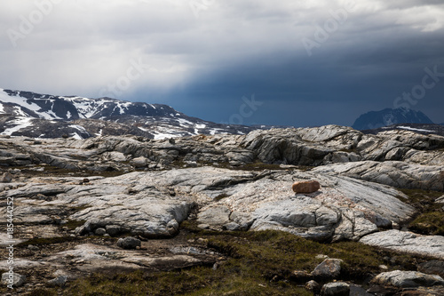 Die Wildnis Ostgrönlands