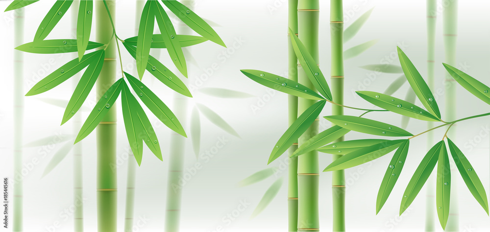 Naklejka premium Green bamboo horizontal background with stems and leaves on white