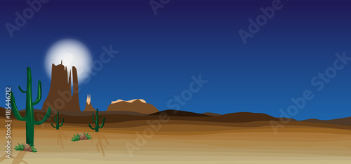 wild desert scene with cactus