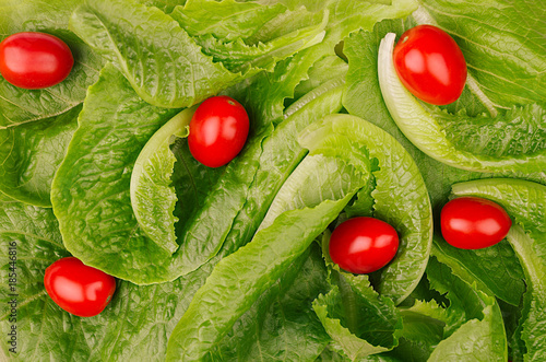 Fresh salad leaves  and red cherry tomatoes pattern, closeup. Healthy dieting spring food. photo