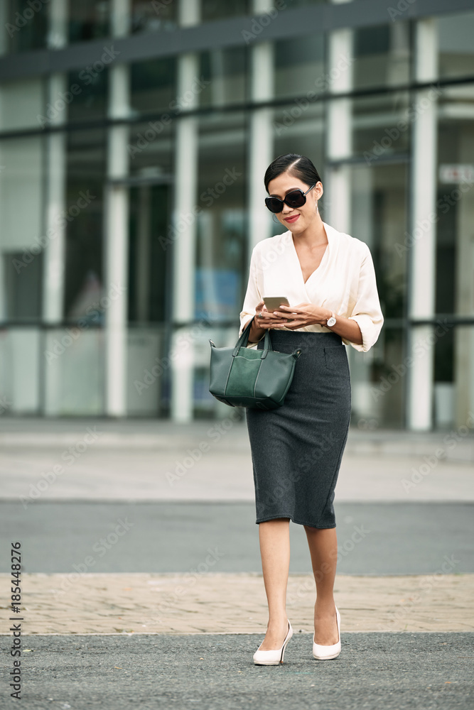 Obraz premium Elegant business lady