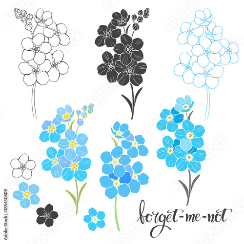 Forget-me-nots. Floral vector set. Isolated hand-drawn illustrations on white background. Different elements for design.