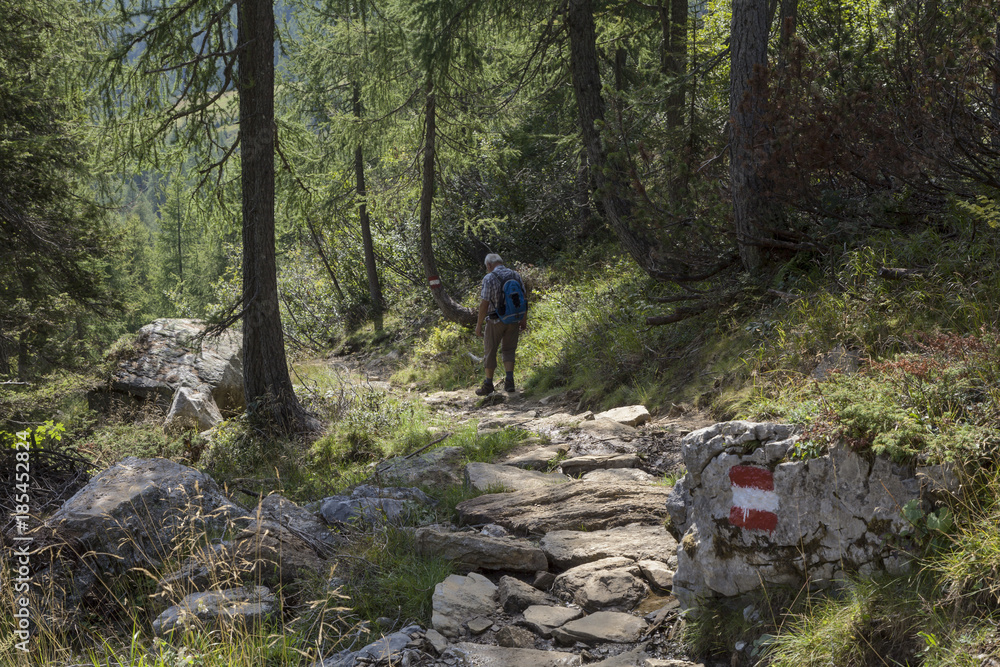 Fototapeta premium Landschaft in Kärnten