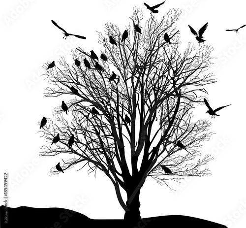 birds and tree in late autumn isolated on white