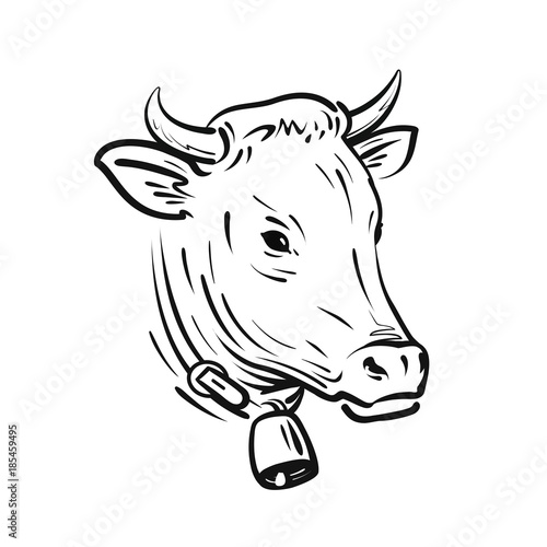 Cow with bell, sketch. Farm animal, vector illustration